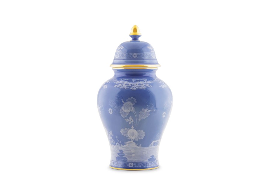 Decorazione Ginori 1735 Vasi | Vaso Potiche